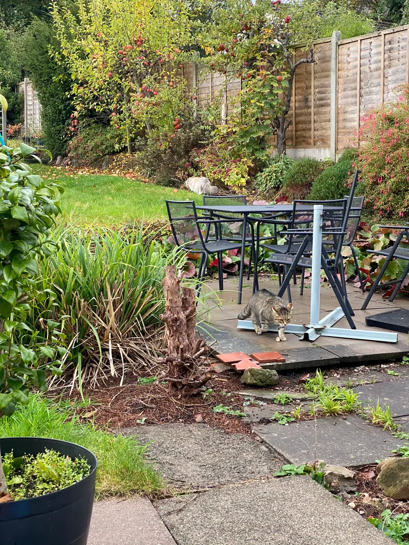 Garden Rebuild — Staffordshire